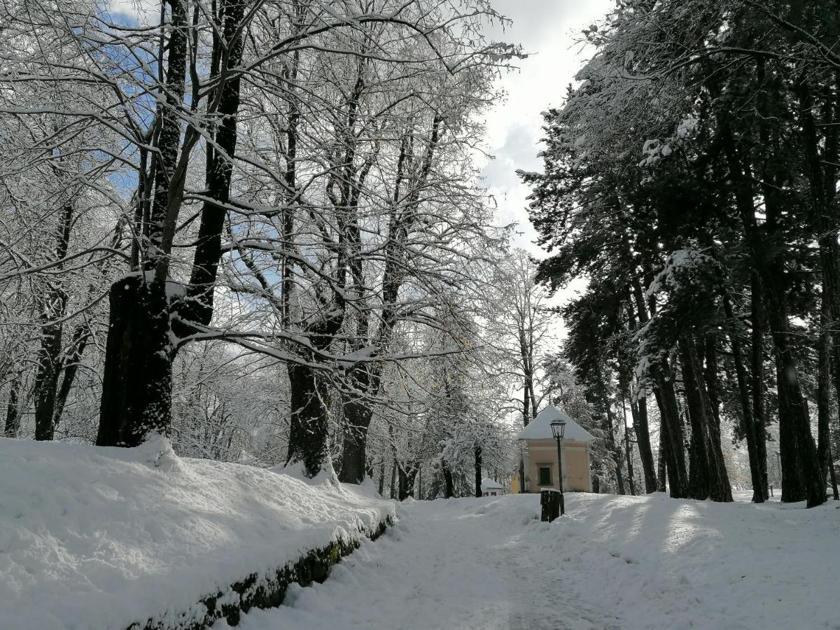 Appartamento Bellavista Cavalese Bagian luar foto