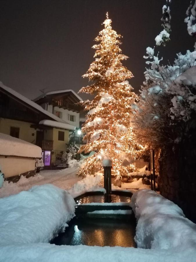 Appartamento Bellavista Cavalese Bagian luar foto